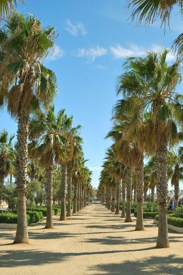 Accommodatie bij particulieren New In The Valencia